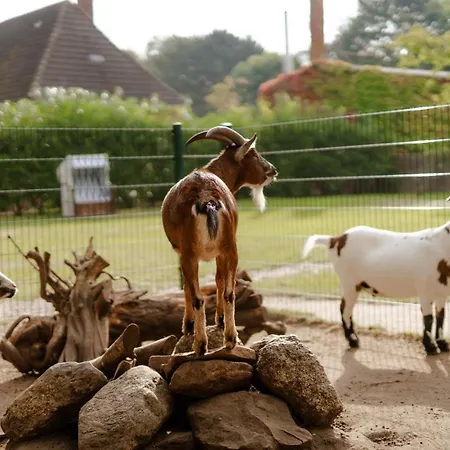 Tante Schmidt 2 Holiday home Staberdorf