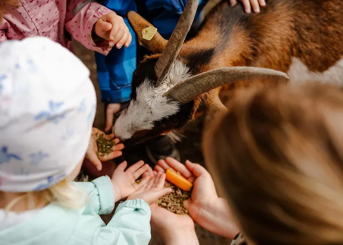 Casa de Férias Tante Schmidt 2 *