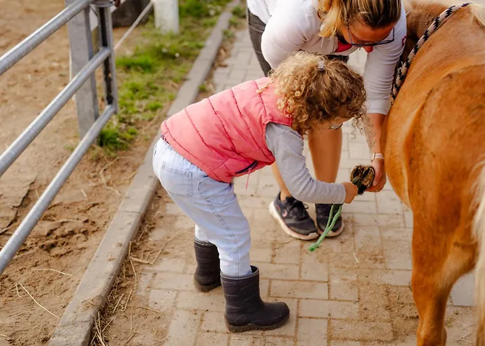 Tante Schmidt 2 Casa de Férias