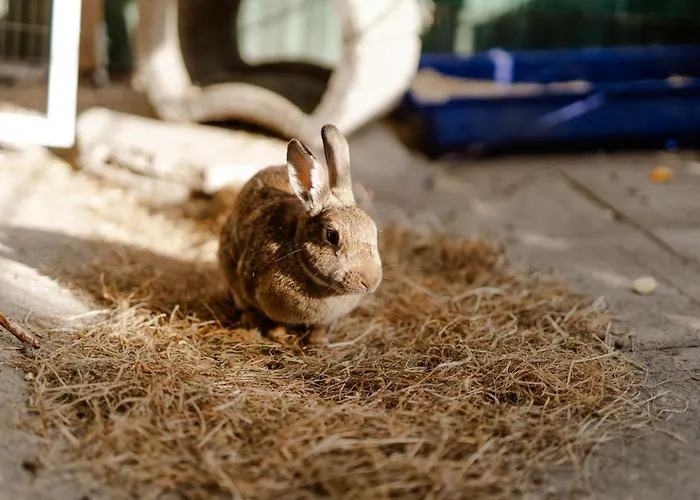 Tante Schmidt 2 Casa de Férias *