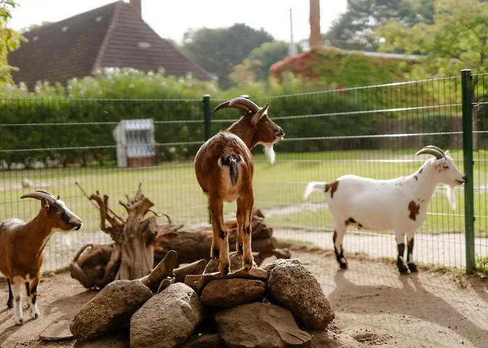 Tante Schmidt 2 Casa de Férias Staberdorf
