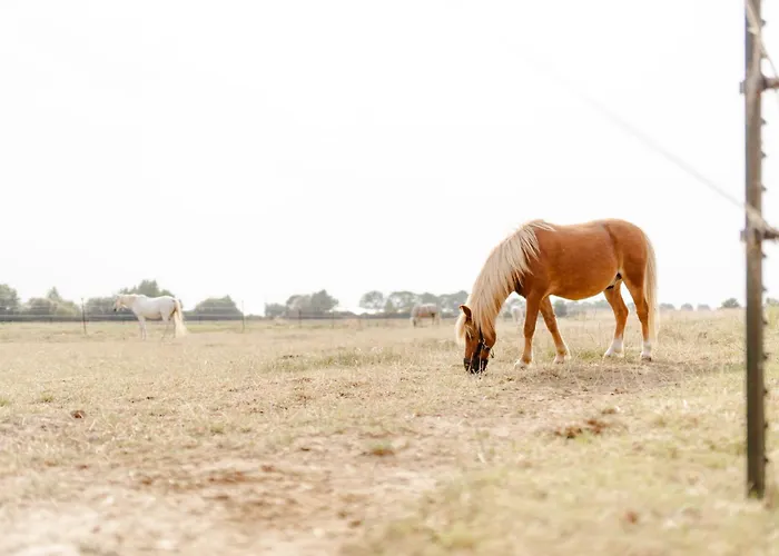 Tante Schmidt 2 Casa de Férias *