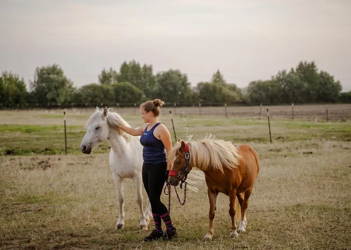 Casa de Férias Tante Schmidt 2