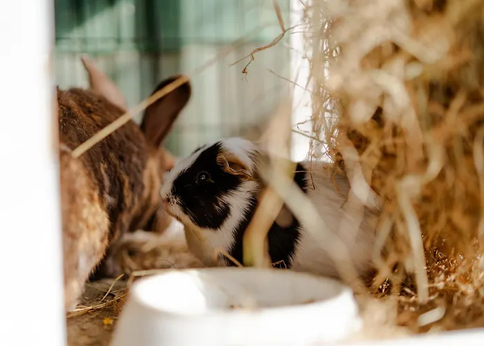 Tante Schmidt 2 Casa de Férias Staberdorf